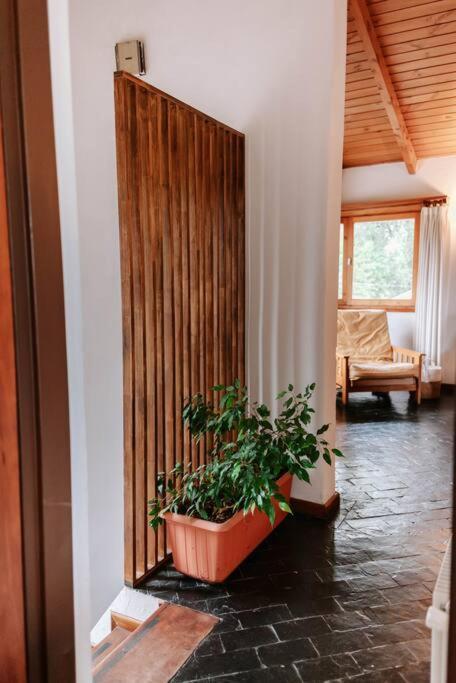 A1- Casa Completa Con Jardin Y Garage